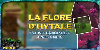 Photo of Flore d’Hytale : un point après 6 mois
